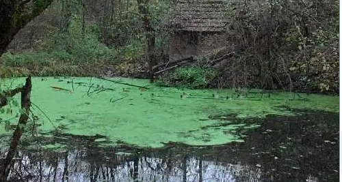 Lago della Marchesa in pericolo Appello a Wwf e Legambiente