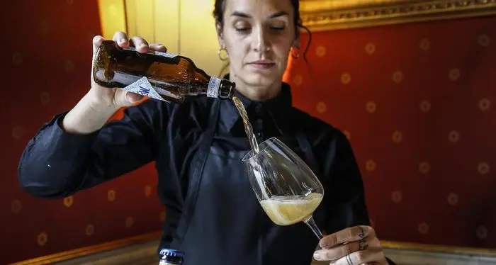 Birra, Italia ai massimi storici per produzione e consumi