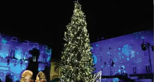 Mercatino di Natale, Rovereto ci crede «Ma l'Apss ci dia il protocollo promesso»