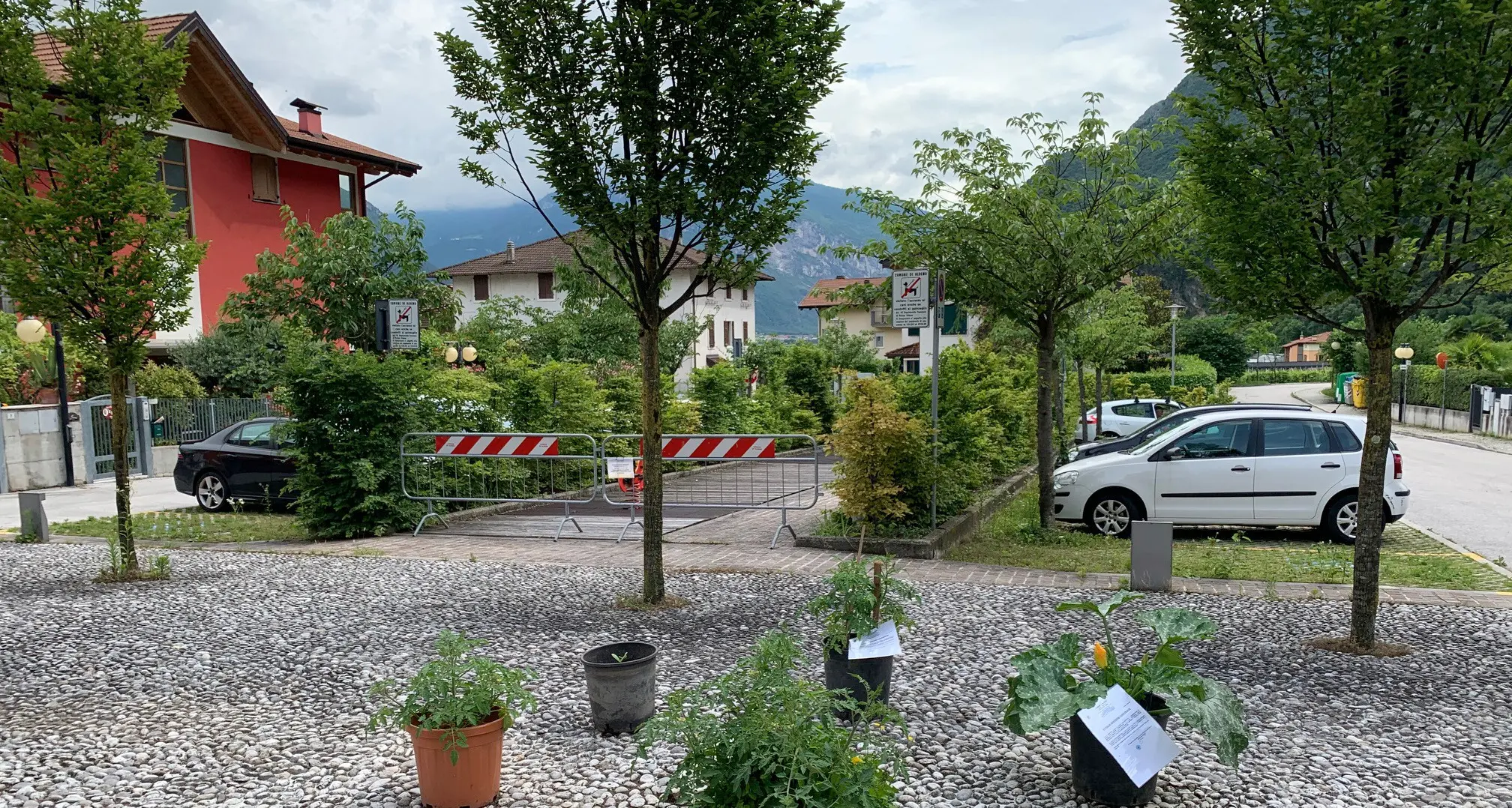 Aldeno: zucchine \"indigeste\" vietata la coltivazione in piazza e arriva l'avviso di rimozione