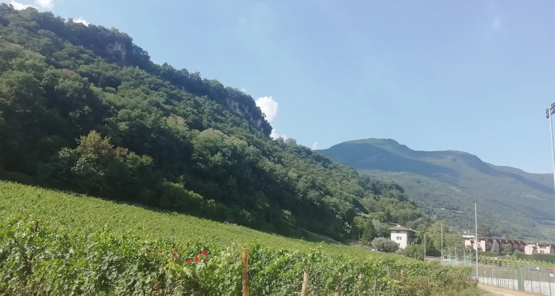 La storica Vigna Morela del Comune di Villa Lagarina assegnata ai Cembrani