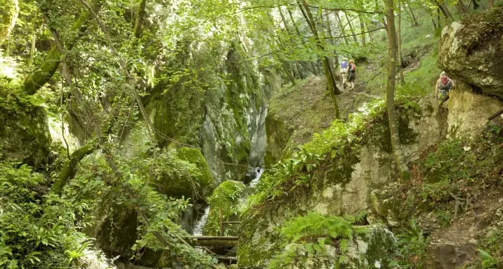 Ragazza precipita per 5 metri sulla ferrata del Rio Sallagoni