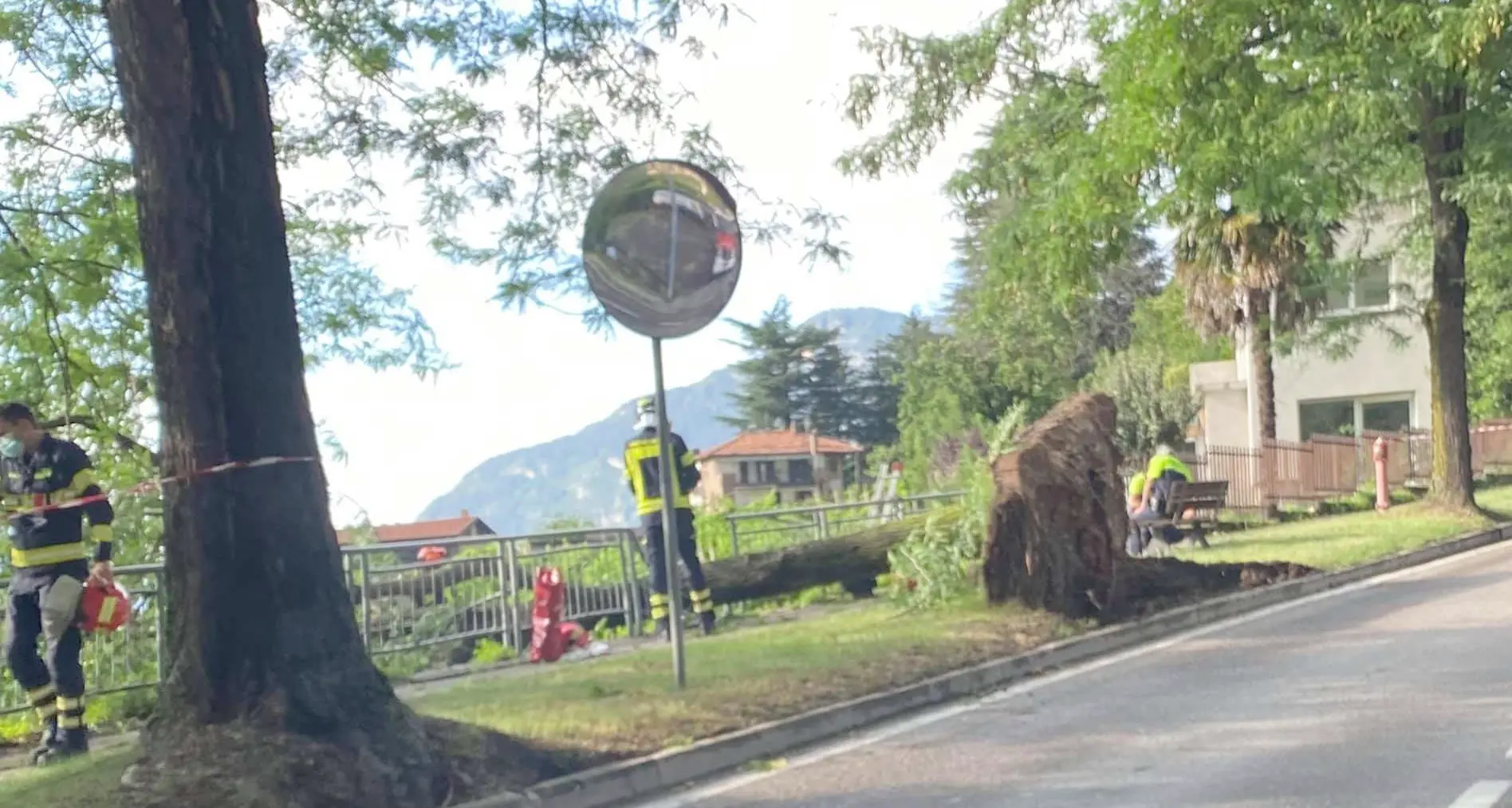 Forte vento col temporale cade un grosso albero sulla strada per Villazzano