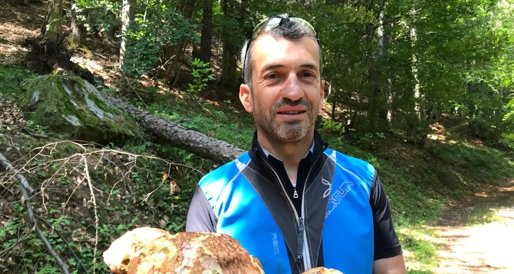Dopo pioggia e caldo prime raccolte post-Covid: ecco due porcini da 1,3 kg