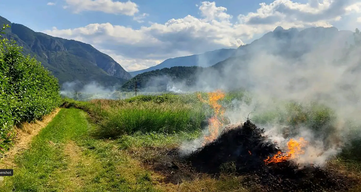 Colpo di fuoco e pioggia meli e ciliegie a rischio