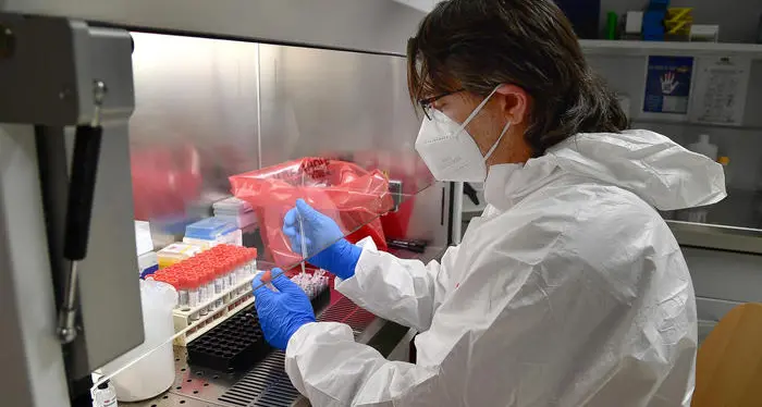 Coronavirus: due forbici molecolari per fermare l'infezione