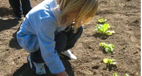Dalla giunta quasi 35 mila euro per fare gli «orti didattici» nelle scuole del Trentino