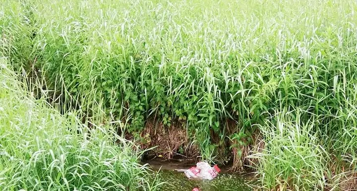Rifiuti abbandonati nel lago di Roncone
