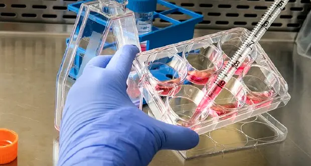 Quasi pronti due test rapidi: diranno se si ha il Covid in meno di 15 minuti