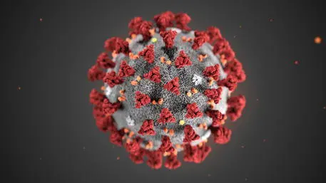 Il coronavirus e il senso del gusto