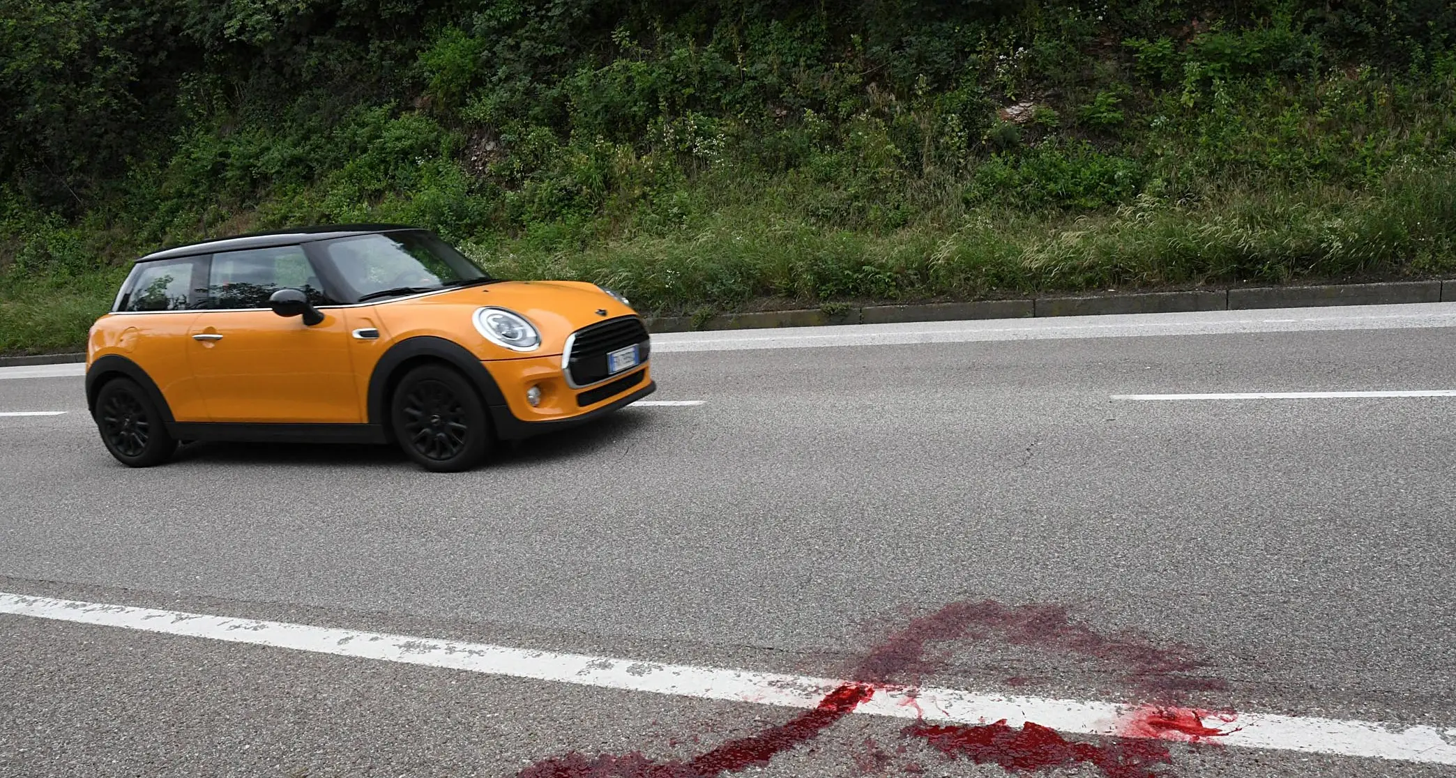 Capriolo investito e ucciso danni ad un'autovettura sulla Valsugana sotto Martignano
