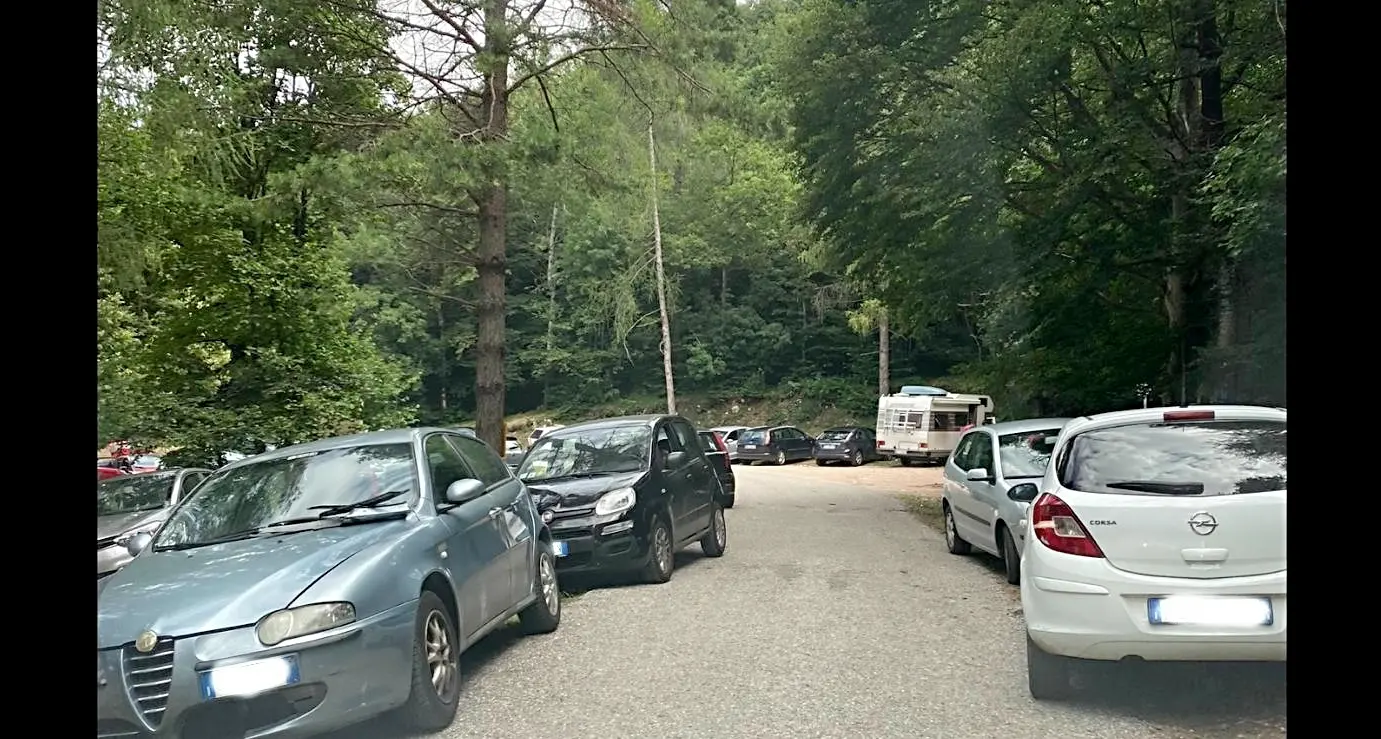 In Maranza non solo l'orso M49: migliaia di persone al «rave» con musica techno e tende
