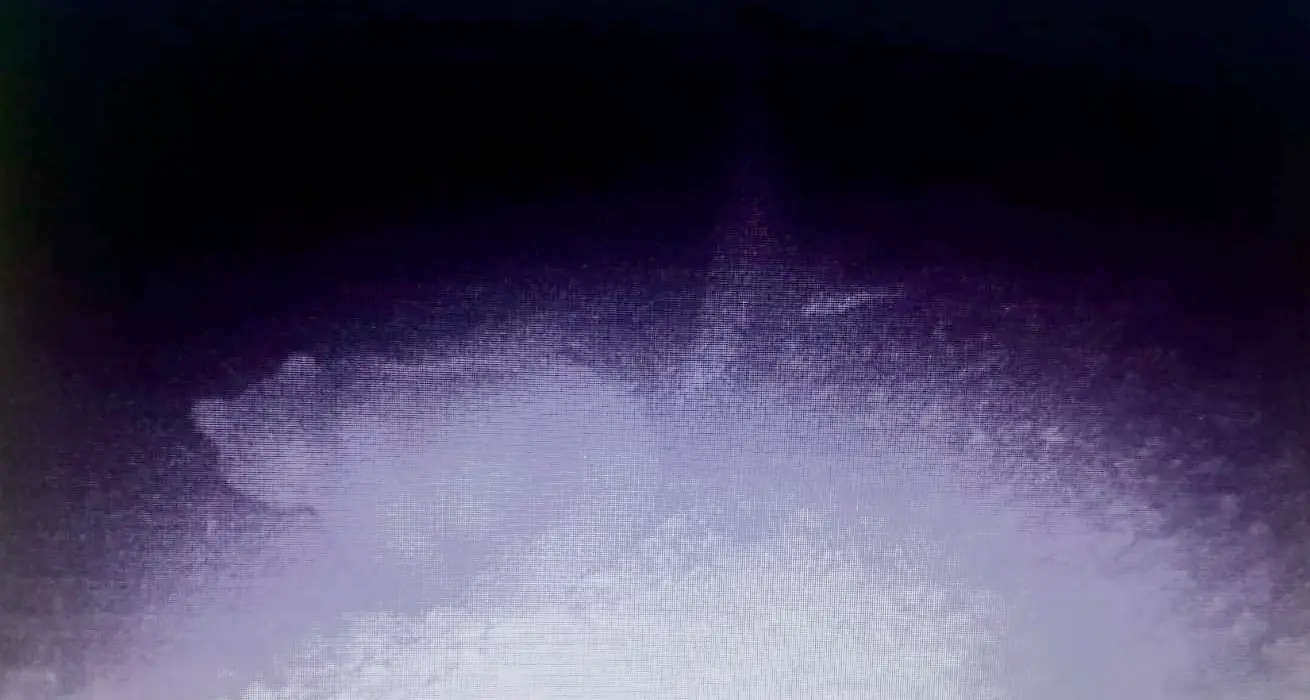 L'orso di Molveno dà l'assalto al pollaio in piena notte - VIDEO