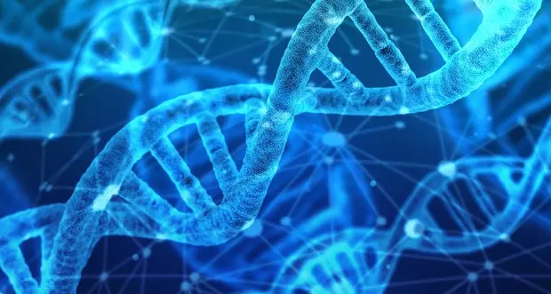 Online il «codice di controllo» del DNA umano: la chiave per spiegare la vita
