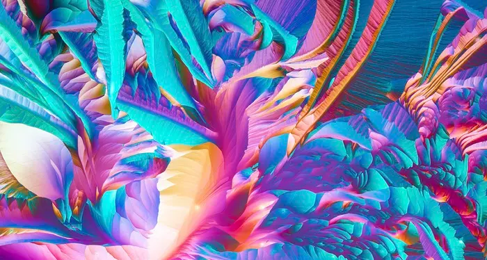 La natura è fluo al microscopio