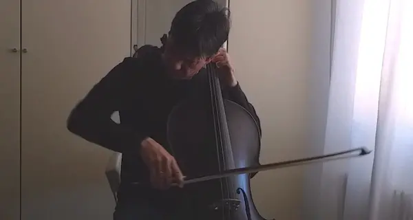 #iosuonodacasa, i concerti per l'Adige dei musicisti della Haydn 11