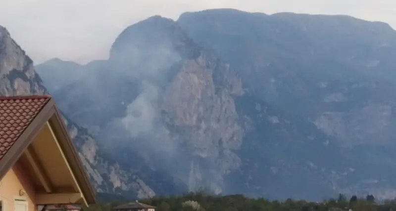 Incendio boschivo sul Dain Piccolo in fiamme una vasta pineta, sul posto i vigili del fuoco