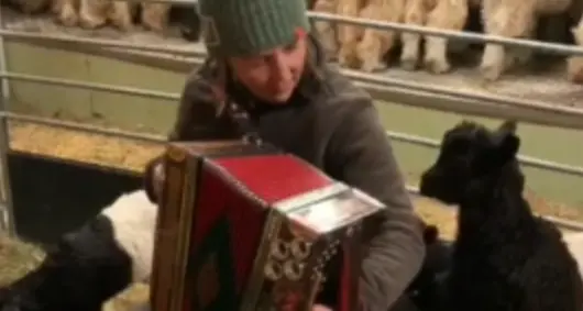 Il concerto improvvisato nella stalla