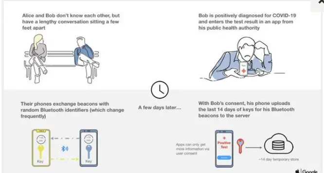 Coronavirus: ecco il sistema tracciamento Apple-Google
