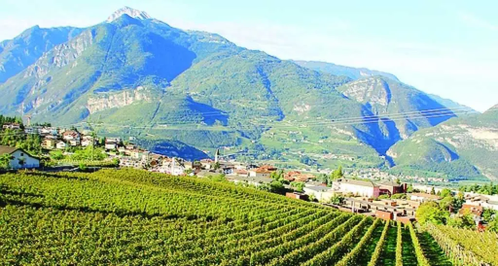 «Terra Aria Acqua», progetto con Biodistretto e Muse che valorizza la biodiversità