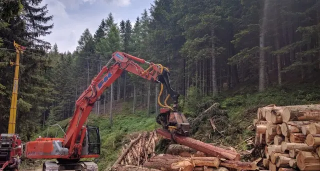 Da martedì riaprono librerie, cartolerie e negozi di vestiti per neonati e bambini Ripartono le attività forestali e del legno