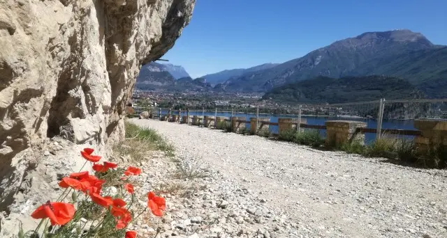 La Ponale chiusa per lavori stop di sei mesi, ma sarà «un sacrificio necessario»