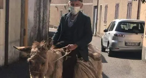Virus: pastore di 81 anni con la mascherina sull'asina