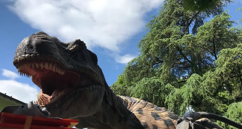 Dinosauri in carne ed ossa: la mostra apre il 30 maggio