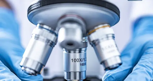 Online il talent del biotech italiano con 9 startup