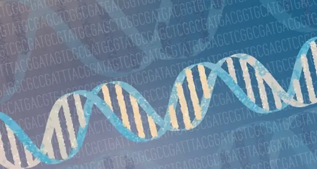 La «Stele di Rosetta» del dna umano nel mondo con tutte le sue varianti