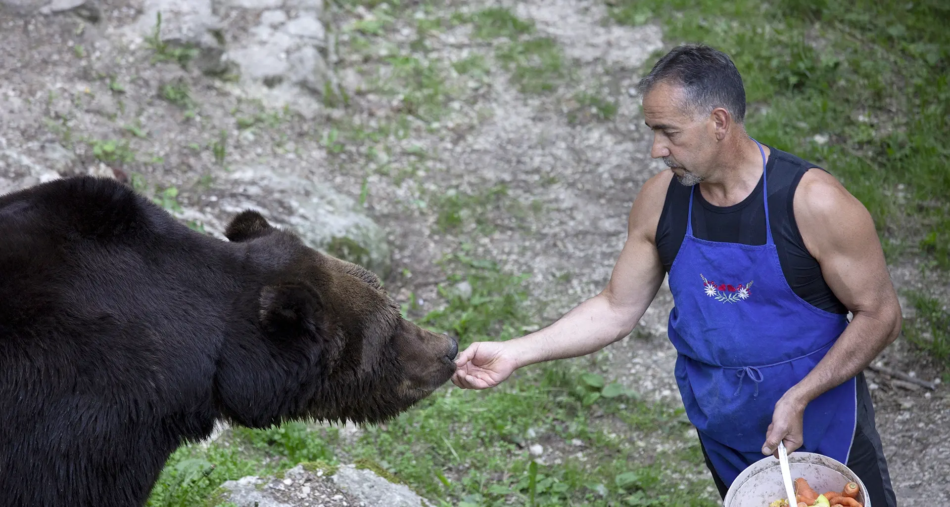 Bruno (l'orso) e Fausto (custode): l'Apt racconta l'amicizia nel recinto di San Romedio