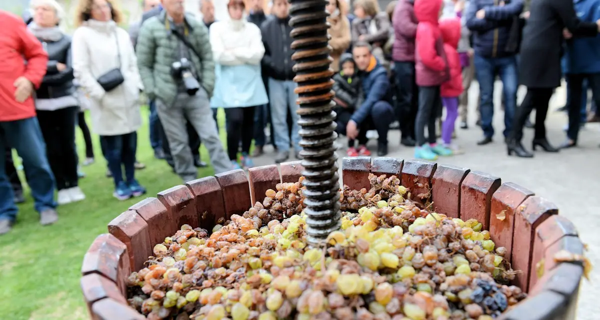 La spremitura del Vino Santo ognuno nella propria cantina, salta il Rito causa Covid 19