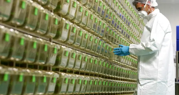 Piano vaccinale del Trentino, i sindacati: \"Mettere in sicurezza tutti gli operatori\"