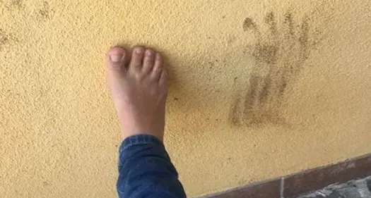 A tu per tu con l'orso a Malcesine ipotesi: potrebbe essere M49 che è «passato» di nuovo a Ovest