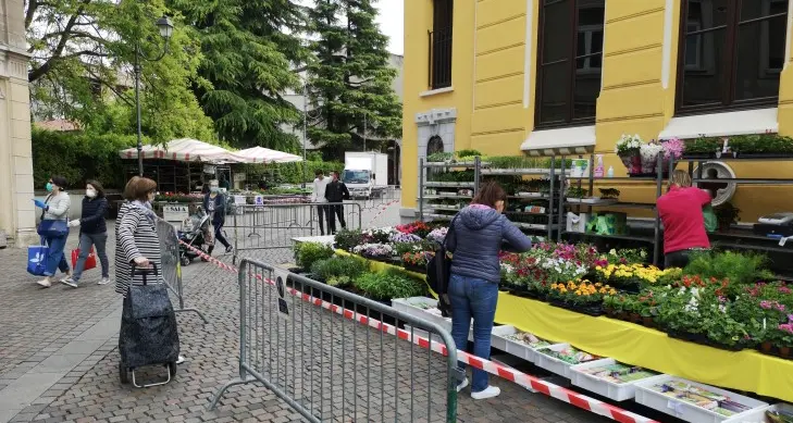 Dai figli minorenni alla spesa I nuovi chiarimenti sull'ordinanza della giunta