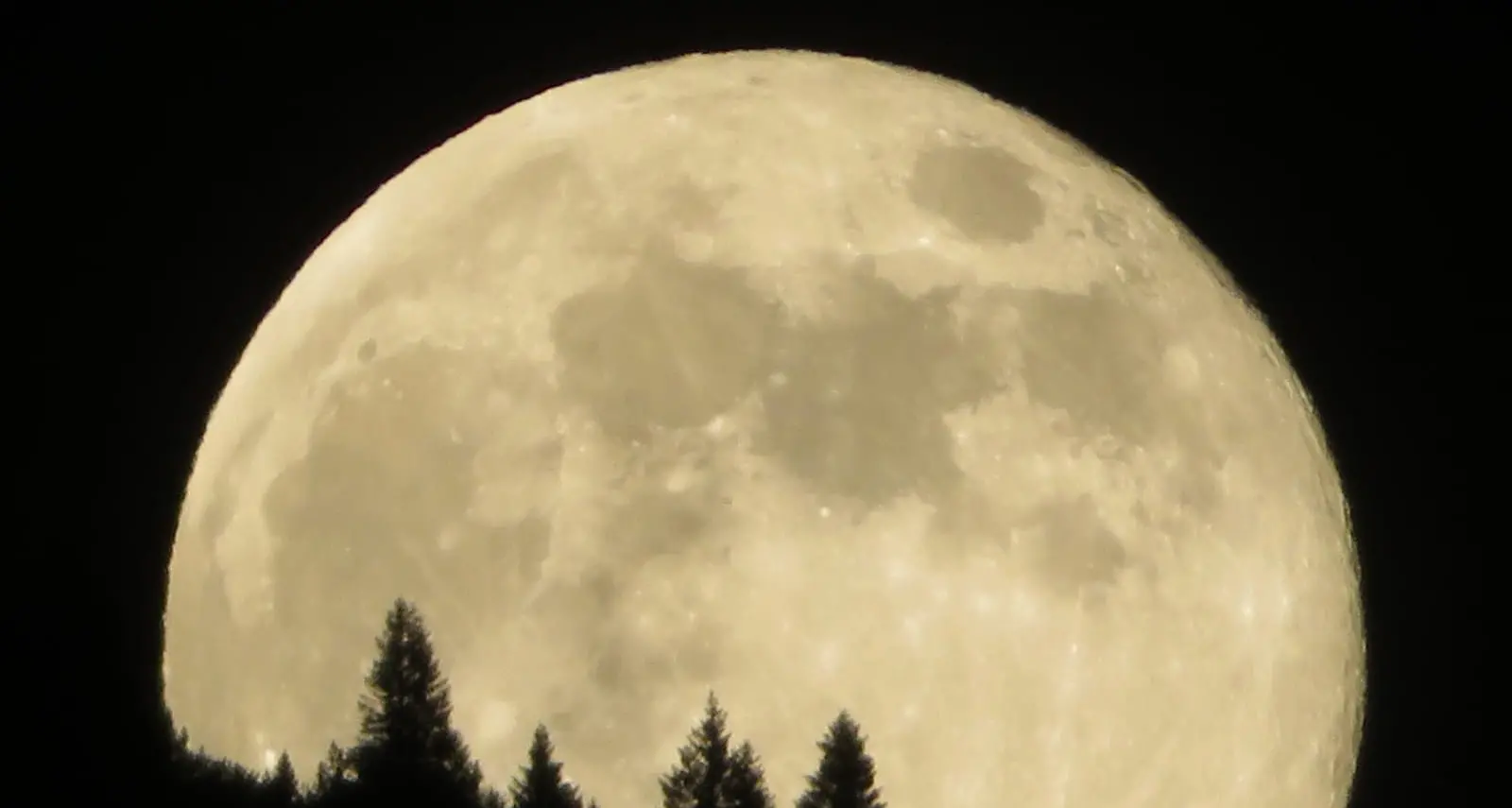 Lo spettacolo «super luna» ieri sera grande e luminosa nei cieli puliti del lockdown