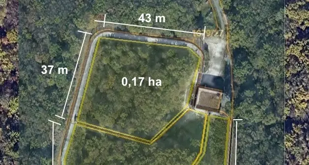 Orso M49, Coppola (Futura) «Avevo chiesto di visitarlo mi hanno negato l'accesso»