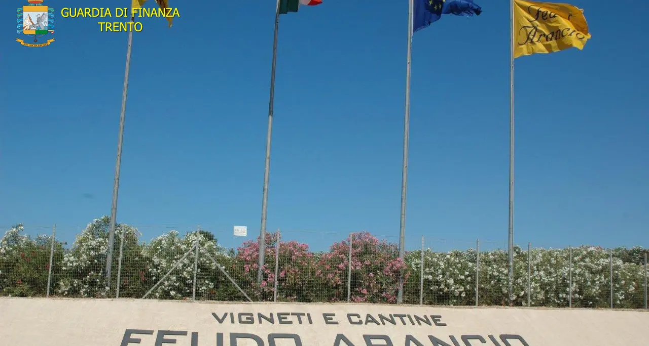 Mezzacorona e quei Feudi della mafia: ecco le accuse della Procura che hanno portato al sequestro