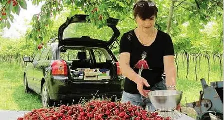 Lavoro nei campi, boom di richieste