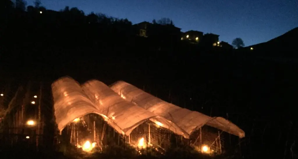 Ondata di gelo in Trentino Temperature sotto lo zero In Val di Non accesi i fuochi
