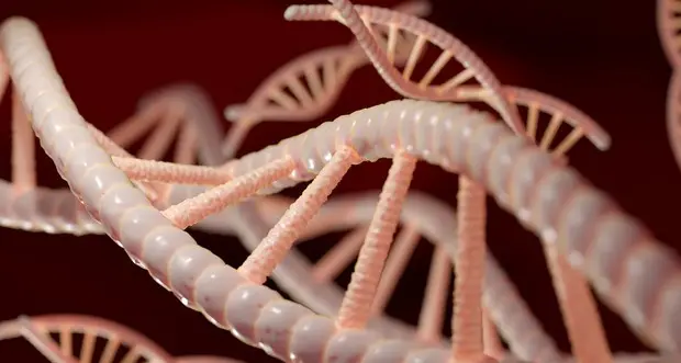 «Craccato» il DNA umano in un laboratorio in California si creano proteine mai viste