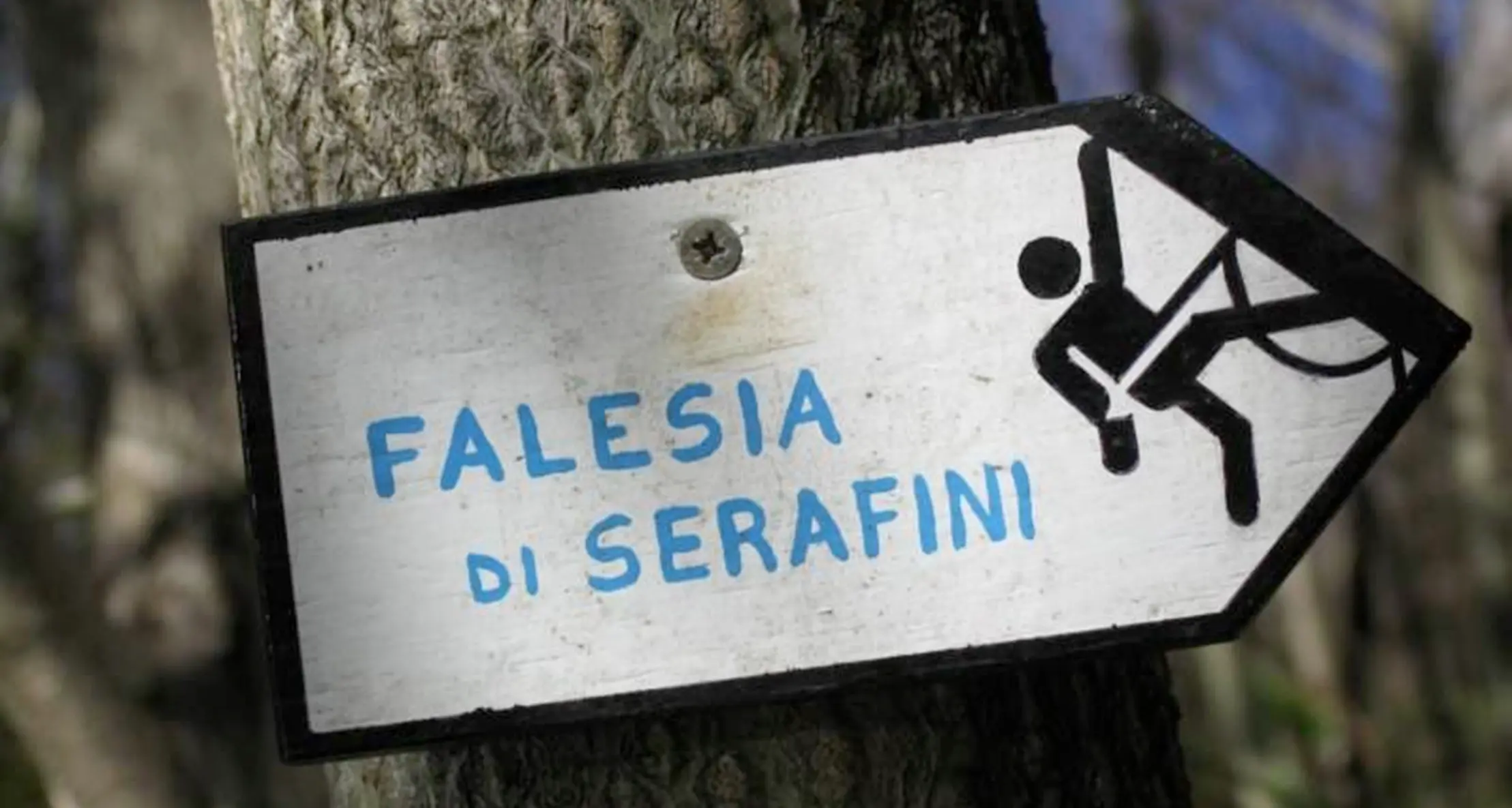 Dal Veneto alla falesia di Grigno L'arrampicata costa cara a tre giovani: 378 euro a testa