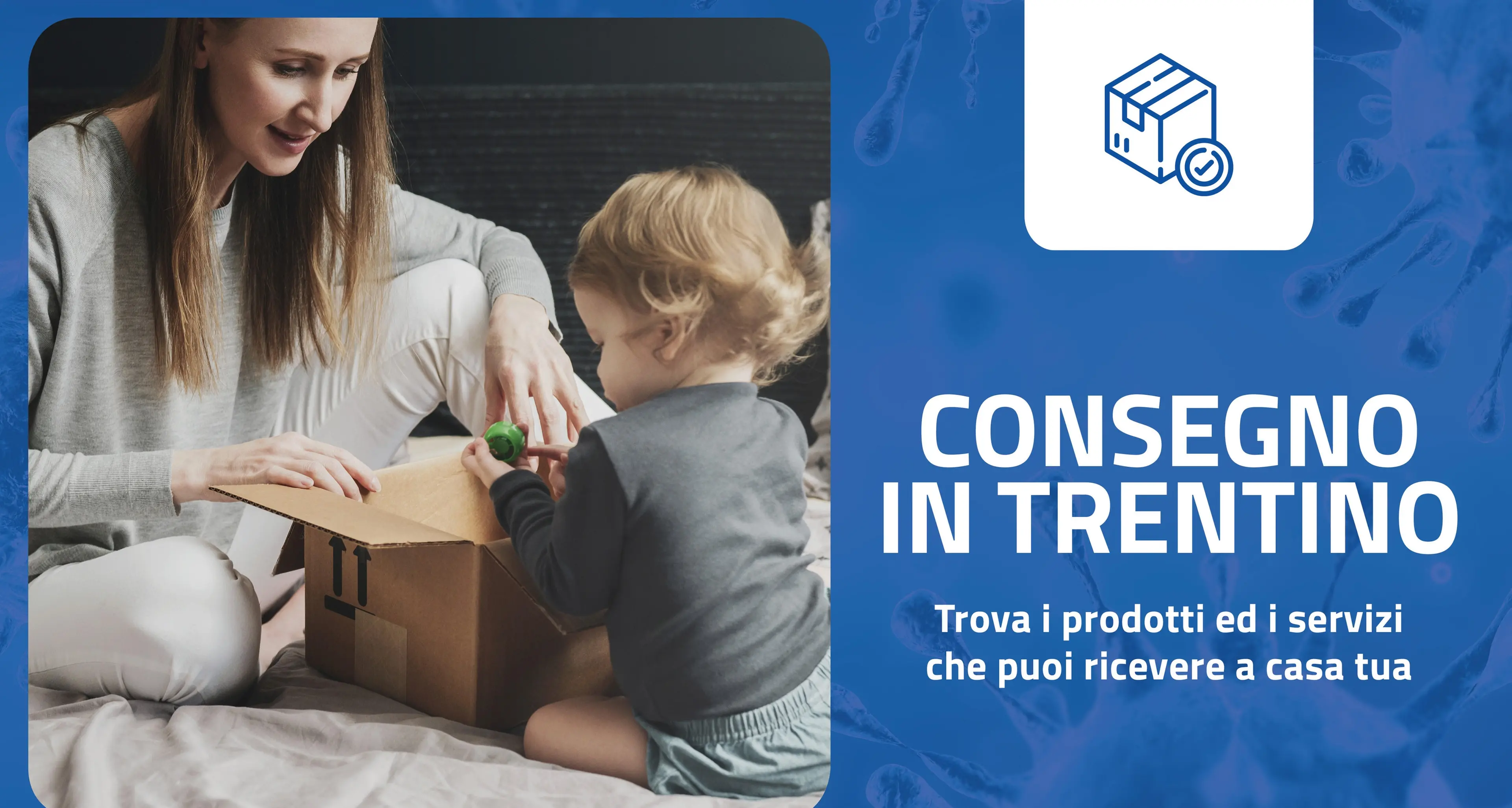 Nasce \"Consegnointrentino\" sito da dove fare acquisti senza muoversi di casa