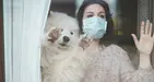 In quarantena con cane e gatto: 10 consigli