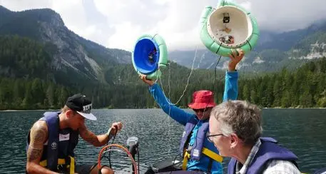 Sistema a basso consumo per monitorare le alghe nei laghi (Tovel per primo)