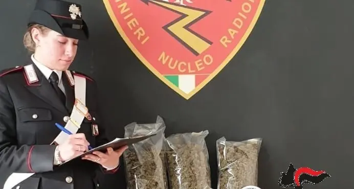 La droga spedita per posta ma i carabinieri la intercettano: denunciati due pusteresi