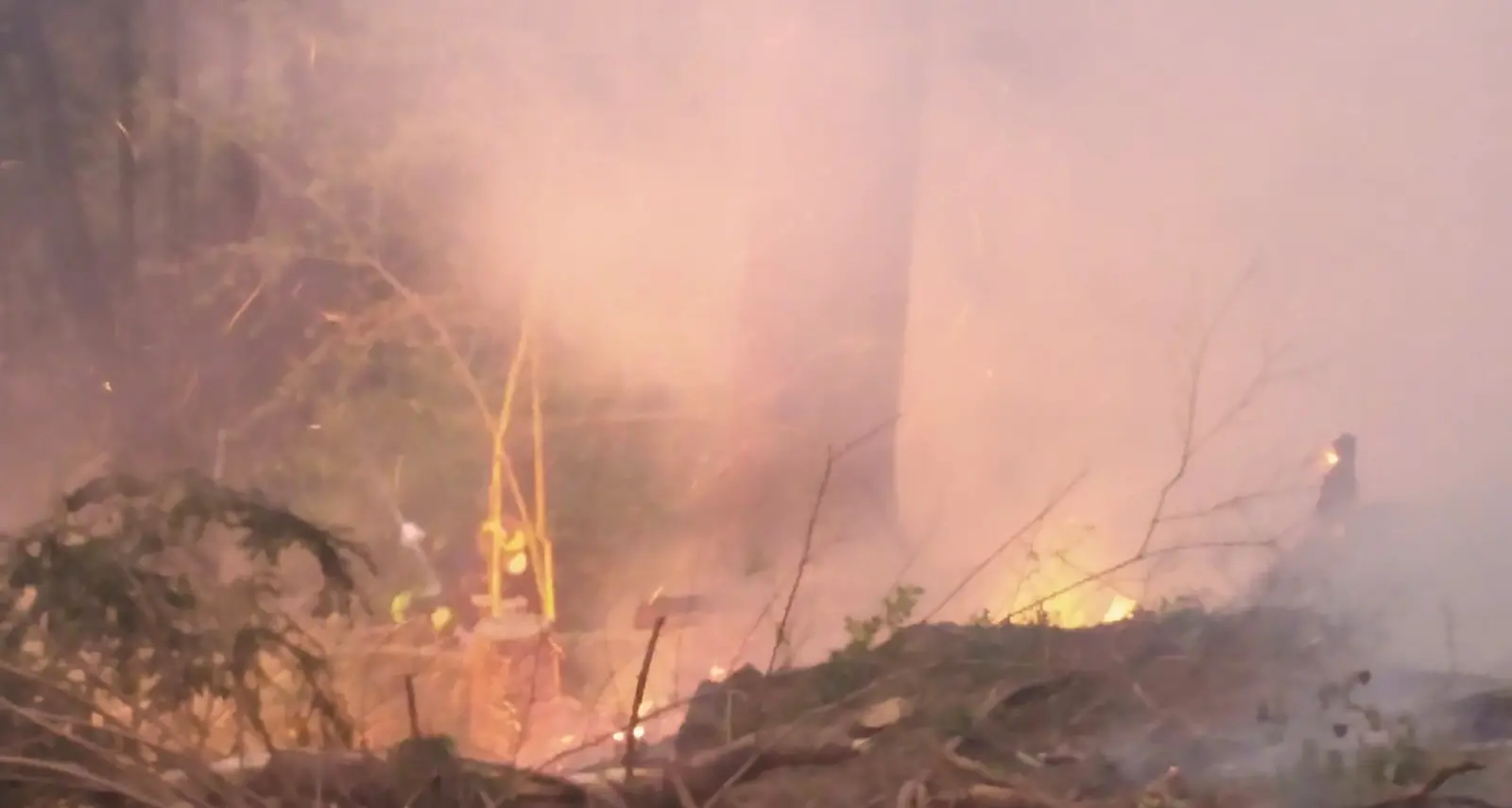 Vanoi, bosco in fiamme si sospetta la causa dolosa