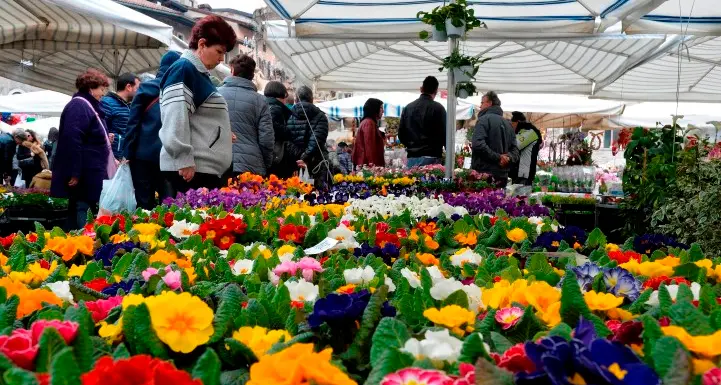 Rinviata la fiera di San Giuseppe Biblioteche: fruizione on line