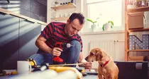 Boom del bricolage e del giardinaggio