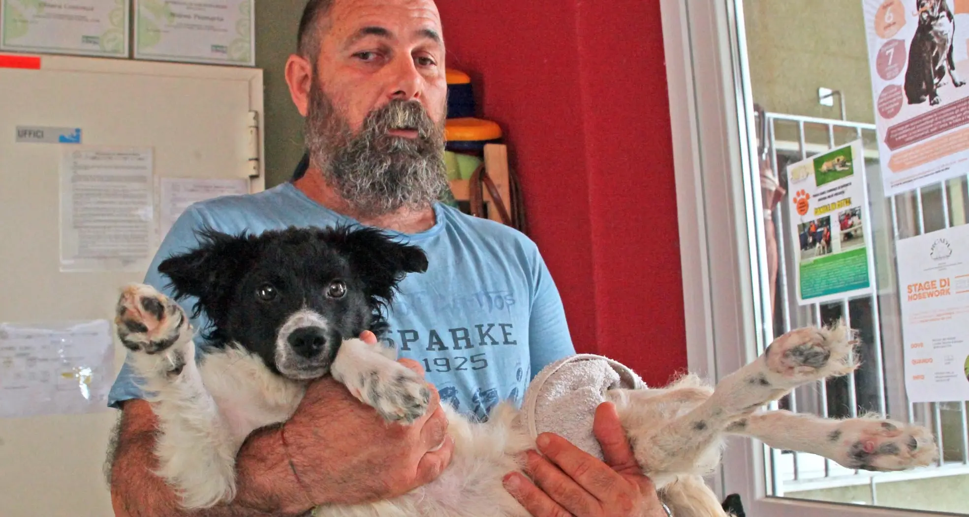 Con i cani si può uscire ed è boom di adozioni